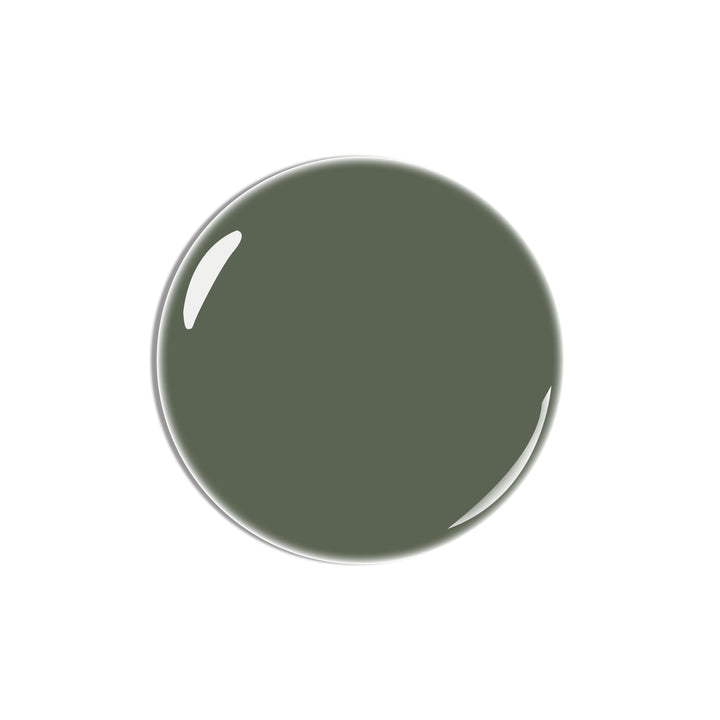 Concrete Moss | Gray Color Gel