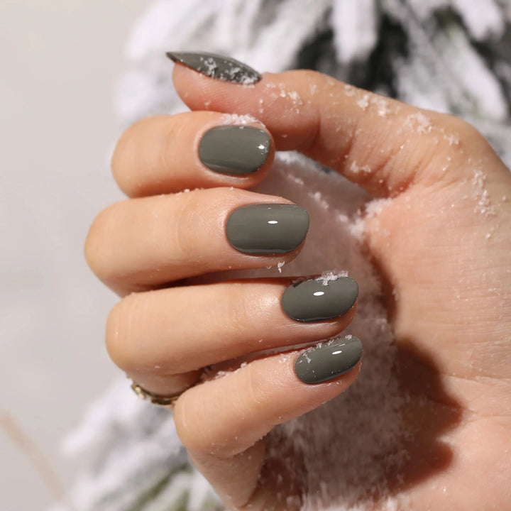 Concrete Moss | Gray Color Gel